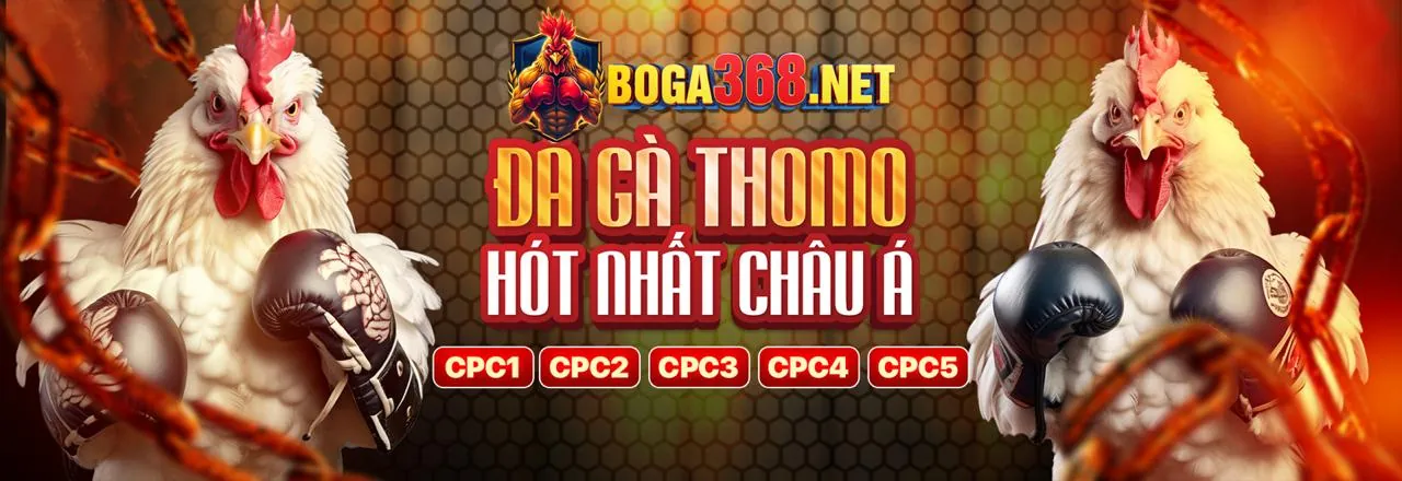 Đấu trường đá gà trực tuyến 78win vip